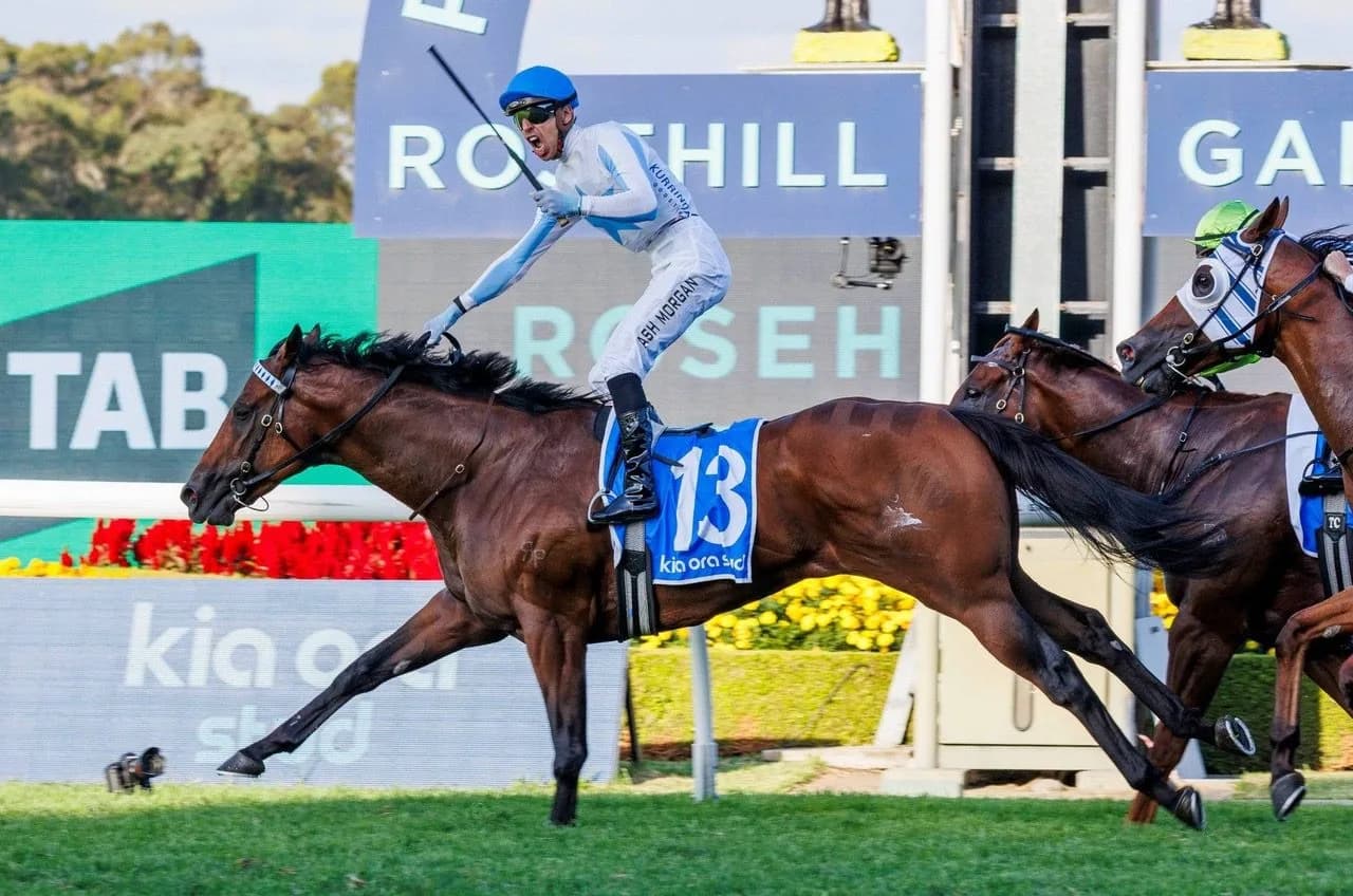 Kurrinda Bloodstock Racehorses