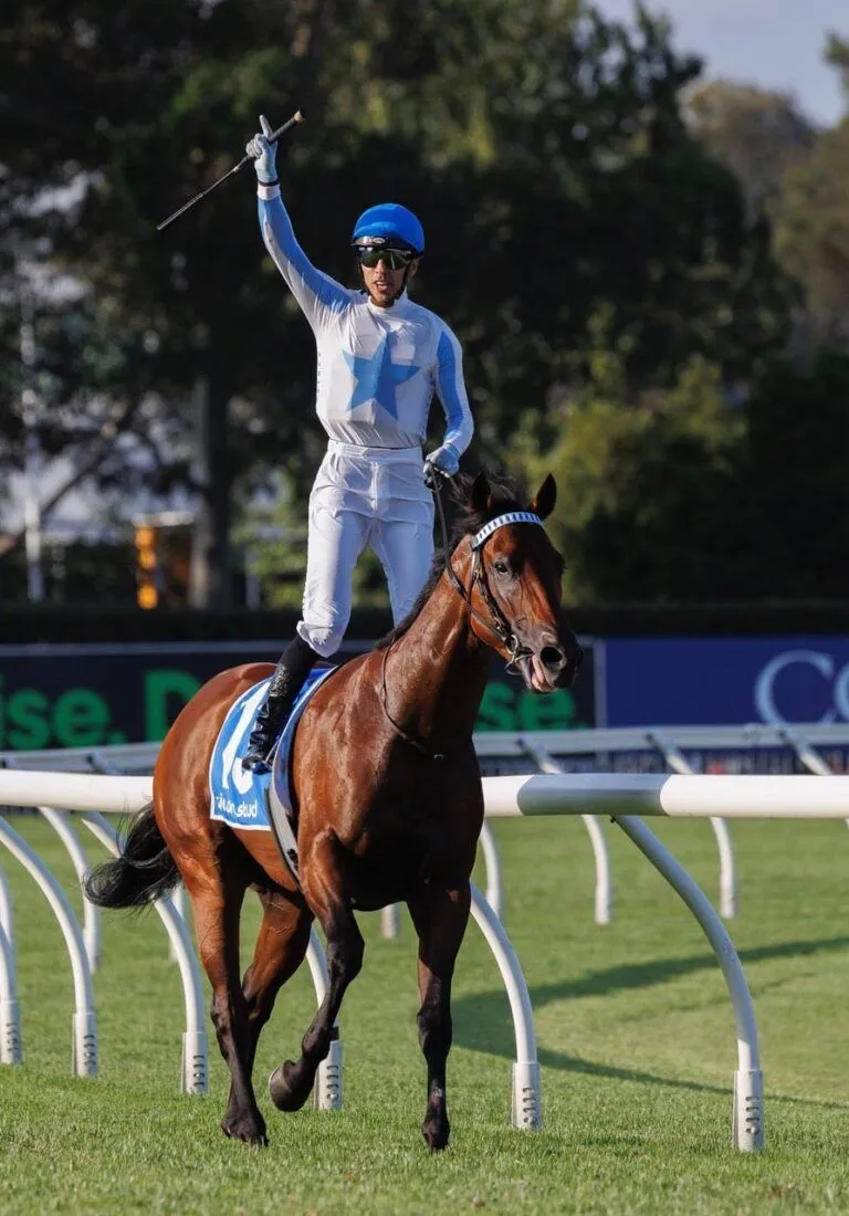 Kurrinda Bloodstock Racing Winners