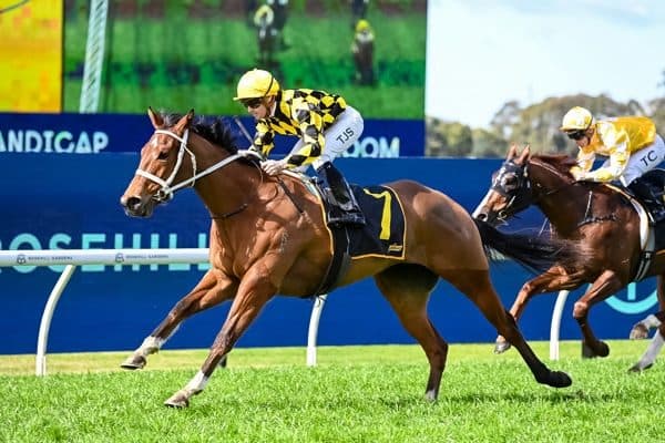 breednet images autumn glow rosehill 21595