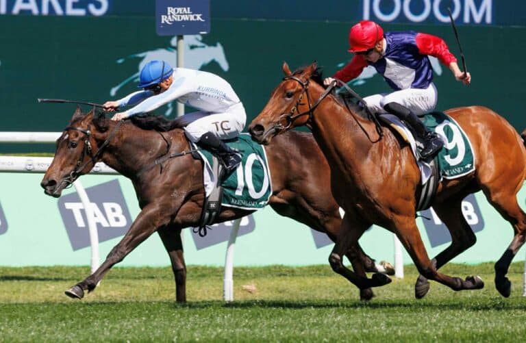 Own a share in a racehorse