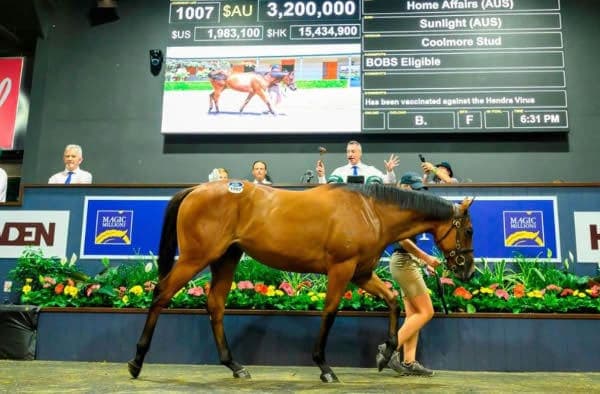 breednet images home affairs x sunlight sale ring 24466
