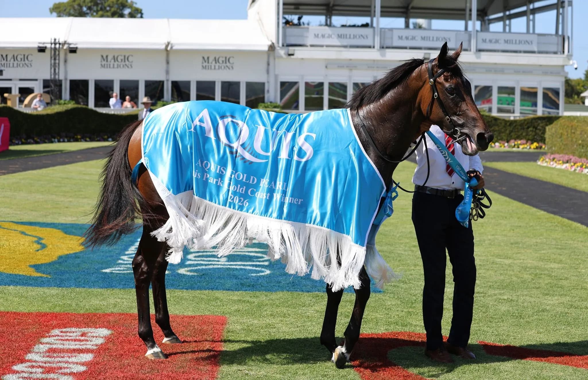 Kurrinda Bloodstock Racehorse Syndications