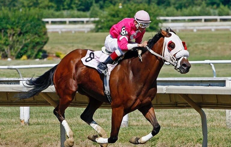 The Top 4 Racehorse Fitness Metrics 800x510