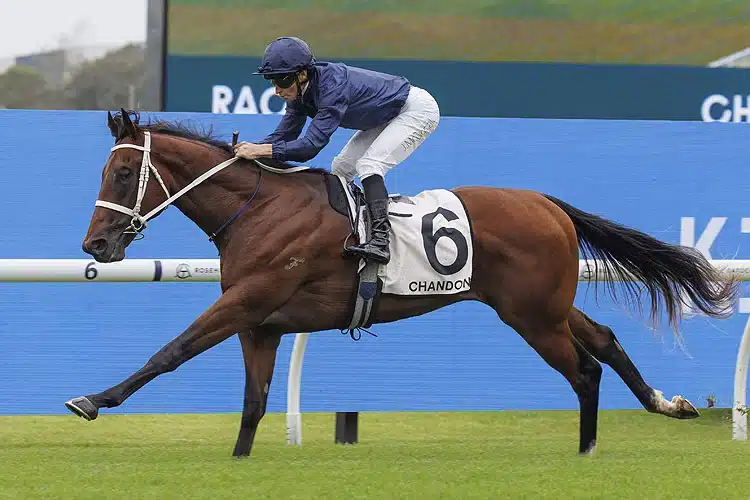 Horse wodeton 209147 750x500.jpg