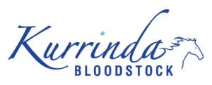 Kurrinda Bloodstock