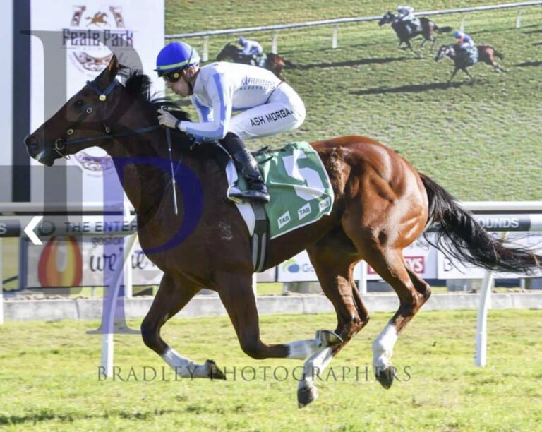 Kurrinda Bloodstock as a syndicator as a rich history in the horse racing world and offers some of the very best horse racing syndicate around, get in touch today to allow us to help you find your next winner