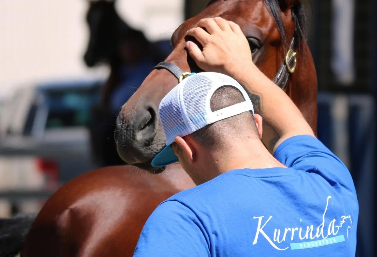 Kurrinda Experience and Knowledge