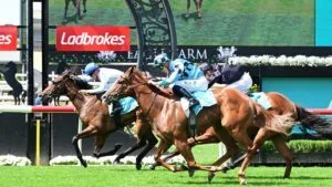 Malaboom Electrifying Stakes Winning 2YO And High Class Residual Value