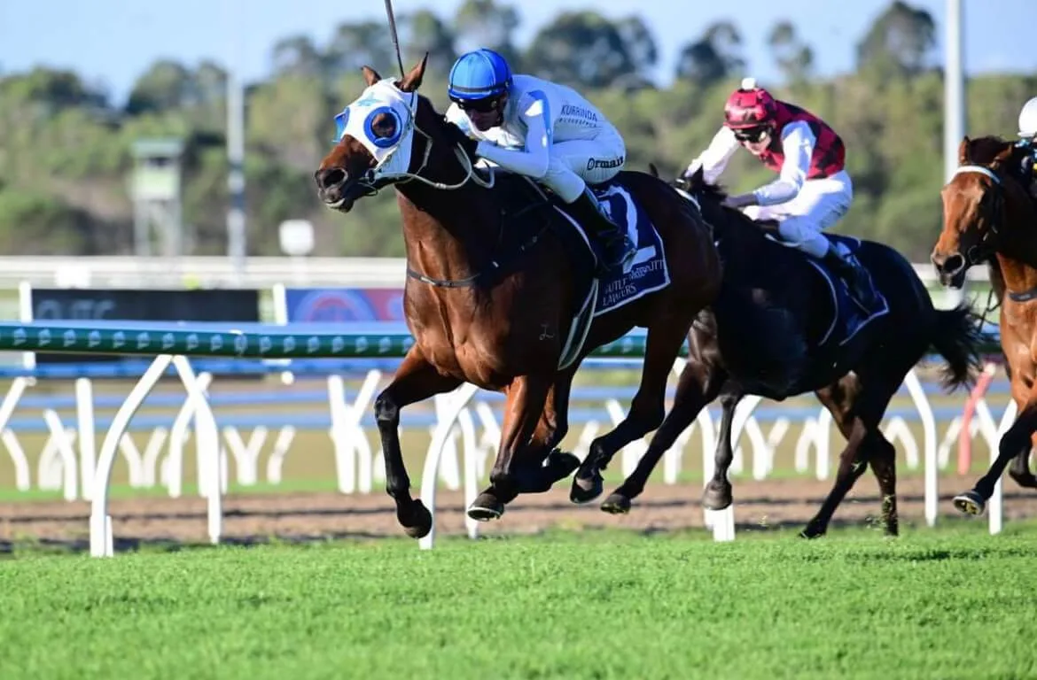 Fully Certified and Licensed with Kurrinda Bloodstock Syndications