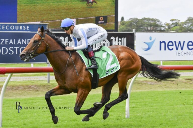 1c14419c 2d39 44f1 bd61 06c1eec06af6