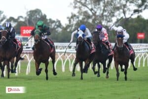 Horse Racing Shares: The Modern Gateway to Ownership, Opportunity, and Experience In 2026