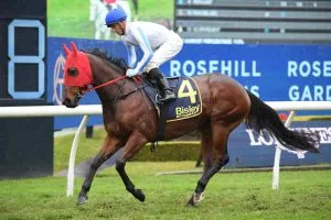 Best Horse Racing Syndicates: Kurrinda Bloodstock The Thrill Of Racing Without The High Costs 2024