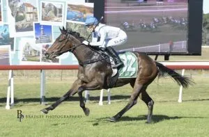 Horse Racing Syndicates: Navigating the exciting world 2024