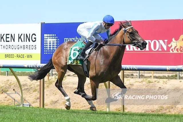 474458946 927934139457311 4119036009228556749 n