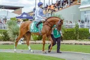 Life of a Racehorse Jockey 2024: Super Highs and Lows