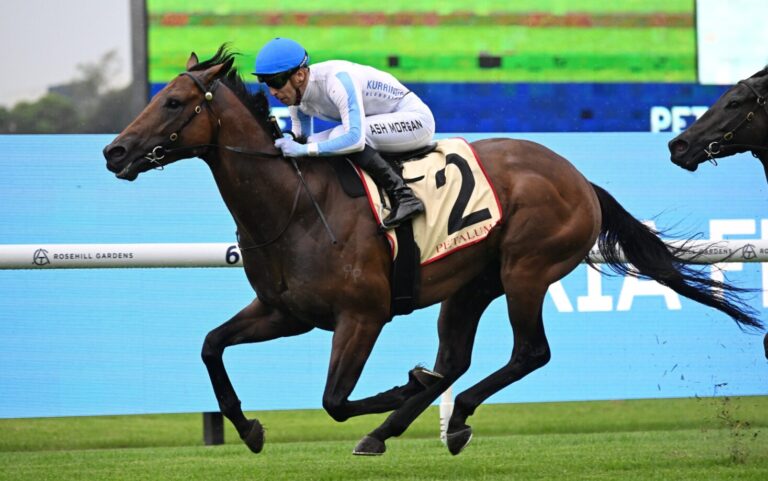 Race Horse Syndicates