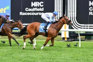 Racehorse Shares in Australia: A Deep Dive into Ownership with Kurrinda Bloodstock Syndications 2025
