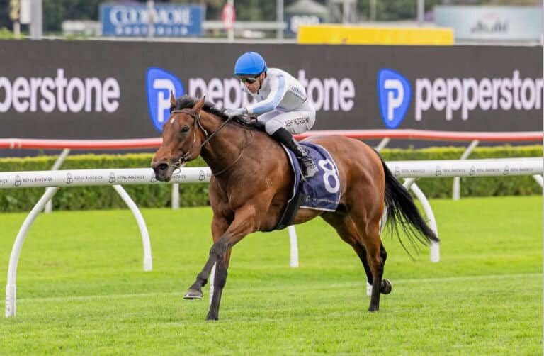 Shares in a Race Horse