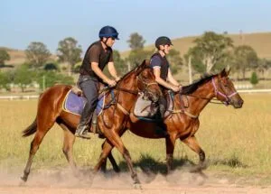Successfully join a horse syndicate 2024