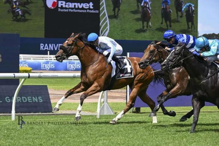 e21605bd d7a6 47dc a2e2 0c148b040d86