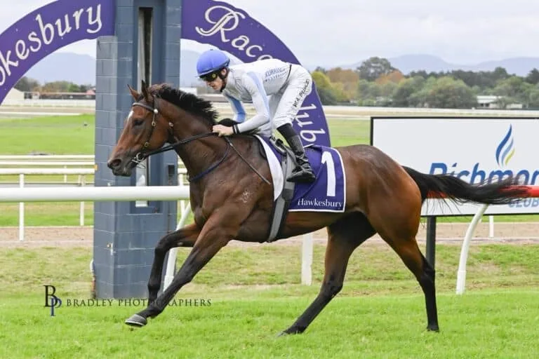 e5e56737 498d 40d8 9aa7 61ec4df89f59