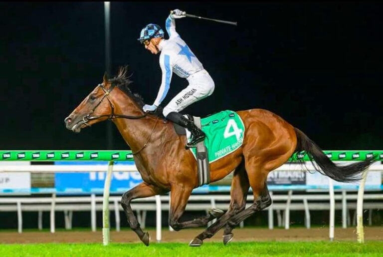 f6cdcefb 99ae 42cb b6ac 1cab8c16358a