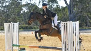 Equimillion sponsorship2