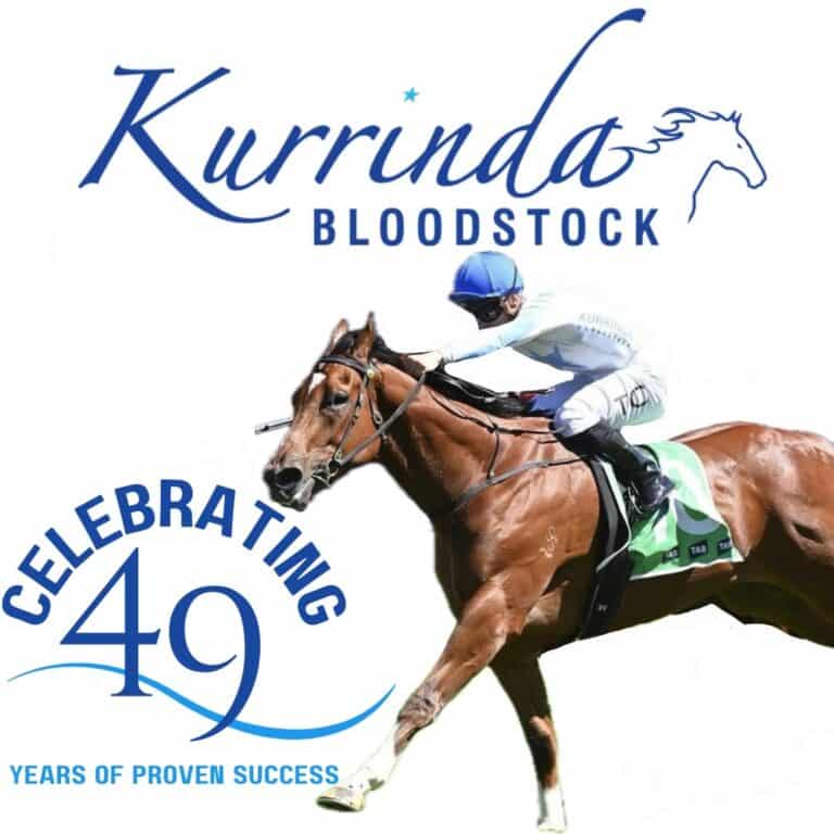 Buy Racehorse Shares