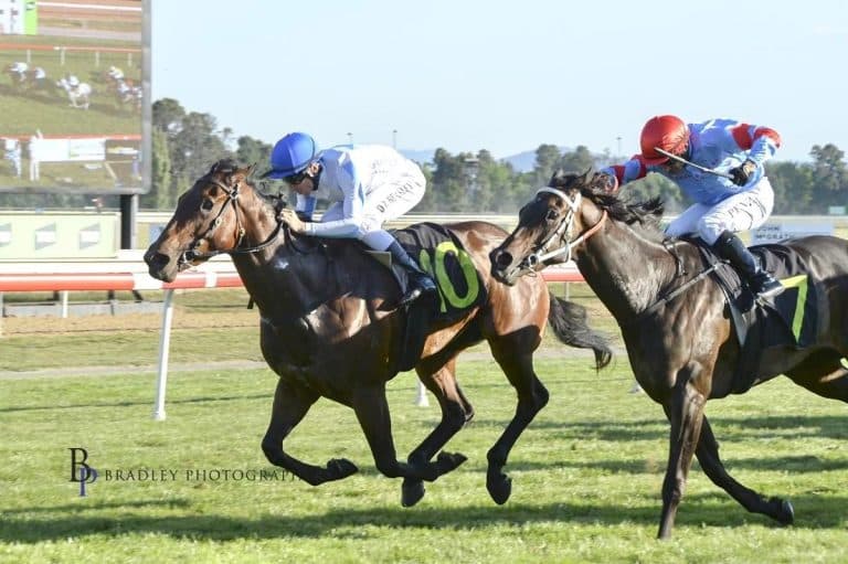 Kurrinda Bloodstock offers high quality shares for racehorse ownership across Australia. We focus on the best possible experience for our owners both on and off the racetrack