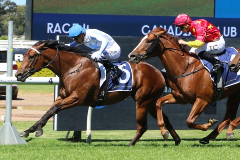 Horse Racing Ownership