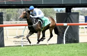 Buying Shares in a Thoroughbred Horse for Sale Is the Smart Entry Point In 2025