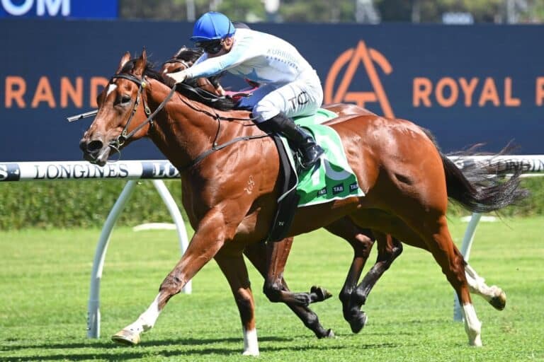 To get involved in your next racehorse contact Kurrinda Bloodstock and speak to the team, we always have some of the most exciting racehorse syndication opportunities on the market