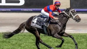 The Great Verry Elleegant to have Chipping Norton named after her 2024: