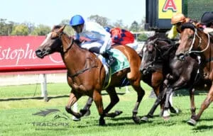 Buying Shares in a Race Horse – How to Own a Champion Without the Millionaire Price Tag In 2026