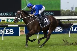 Winx Filly: Expectations of Record-Breaking Bids for the Great Mares Progeny 2024