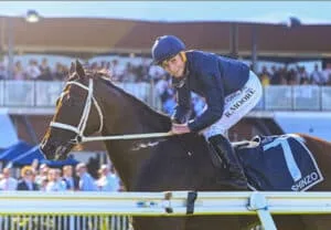 World’s Best Ryan Moore Back to Back Golden Slippers 2024?