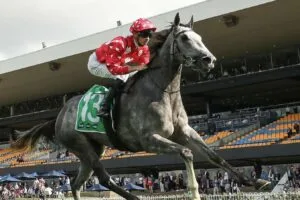 Electrifying Martini Mumma steps up to make it a perfect 3 in a row at Rosehill