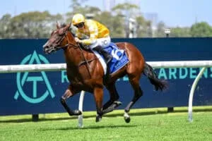 Brilliant Lady of Camelot Returns After Golden Slipper Triumph 2024