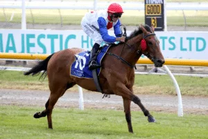 Savvy Coup 1/2 Brother Nereus Seeks Further Black Type