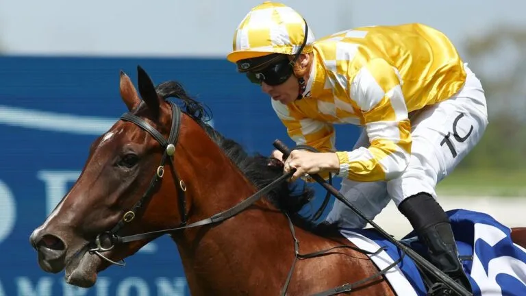 Savvy Coup multiple Group 1 winner and now exciting broodmare with progeny by Justify and Champion sire Zoustar on the ground, her exciting half brother Nereus comes to Australian soil after a last start Group 2 win to seek his own Group 1 glory and further enhance the pedigree