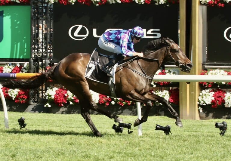 Pride of Jenni has really hit her straps in recent racing seasons proving her early top level wins were no fluke. She starts this weekend as one of the hot favourites in the Group one Queen Elizabeth Stakes