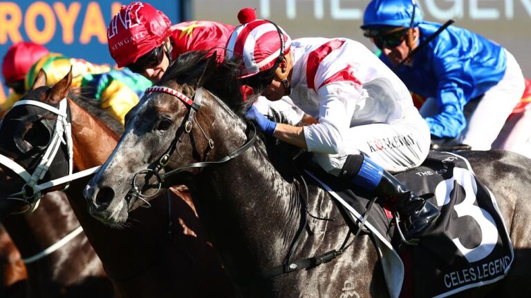 Racehorse syndication has never been more popular for racehorse owners than it is in 2024 a great way to get involved in high quality racehorse shares without the huge cost involved of full ownership thanks to trusted and proven racehorse syndicators like Kurrinda Bloodstock