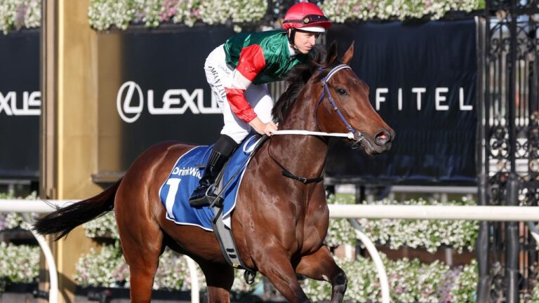 Amelia's Jewel seeks redemption in the second ever running of The Quokka after going agonisingly close in the very first edition last year, but chances dealt a cruel blow with wide barrier draw.