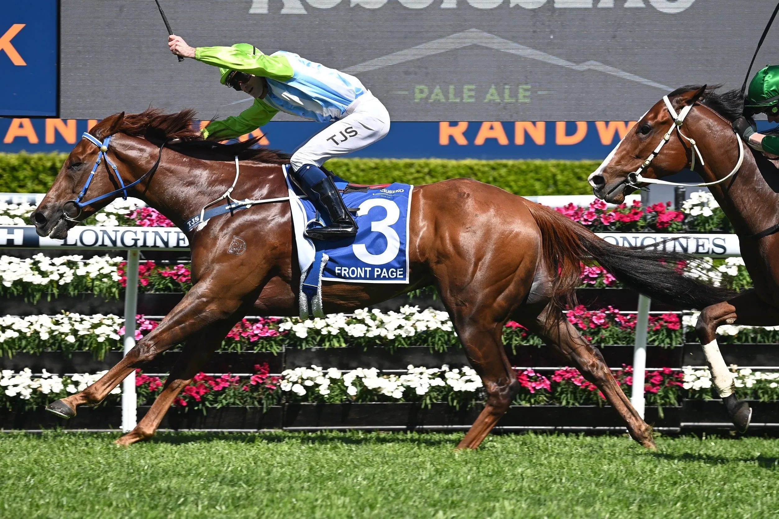 Front Page makes his return after a gallant third place in the Group 1 Galaxy, is he on the path to a 3rd Kosciusko or is The Everest calling his name, Matthew Dale trainer says all roads are open to his exciting sprinter