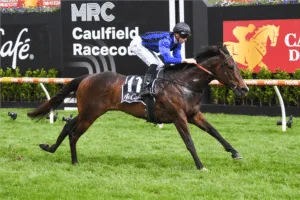 Tenacious Asfoora Royal Ascot bound 2024