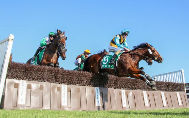 Warrnambool races carnival one of the most time honoured and exciting racing carnivals in Australia. One for all horse racing enthusiasts and fanatics to tick off their bucket list