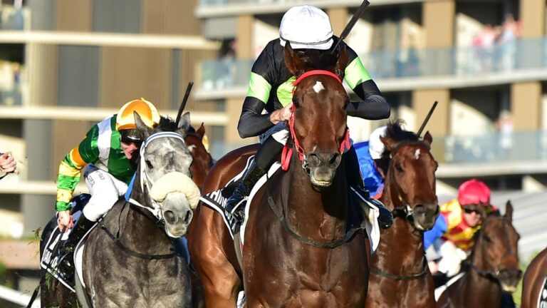 Through Kurrinda Bloodstock Syndications we can offer you the chance to have your racehorse running at all the major racing carnivals including the Queensland Horse Racing Carnival through achievable and affordable racehorse ownership