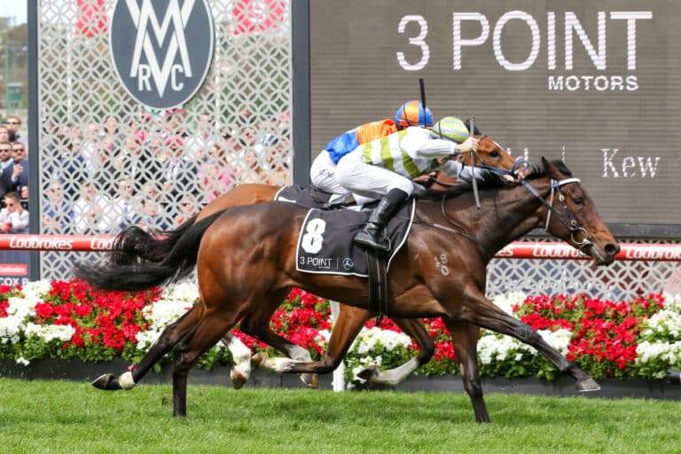 Exciting young Filly Skybird looks to add more Group 1 success to Mitch Freedman's trying CV as she lines up in the Goodwood Handicap this weekend, already Group 1 placed can she take that next step