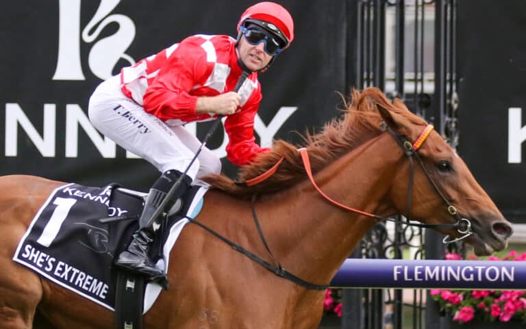 She's Extreme tops Inglis Chairmans sale commanding $3.4 million in the sale ring to the winning bid of Tom Magner and Coolmore stud, another high profile mare. Kurrinda Bloodstock offers the opportunity to get involved and race high quality fillies like this