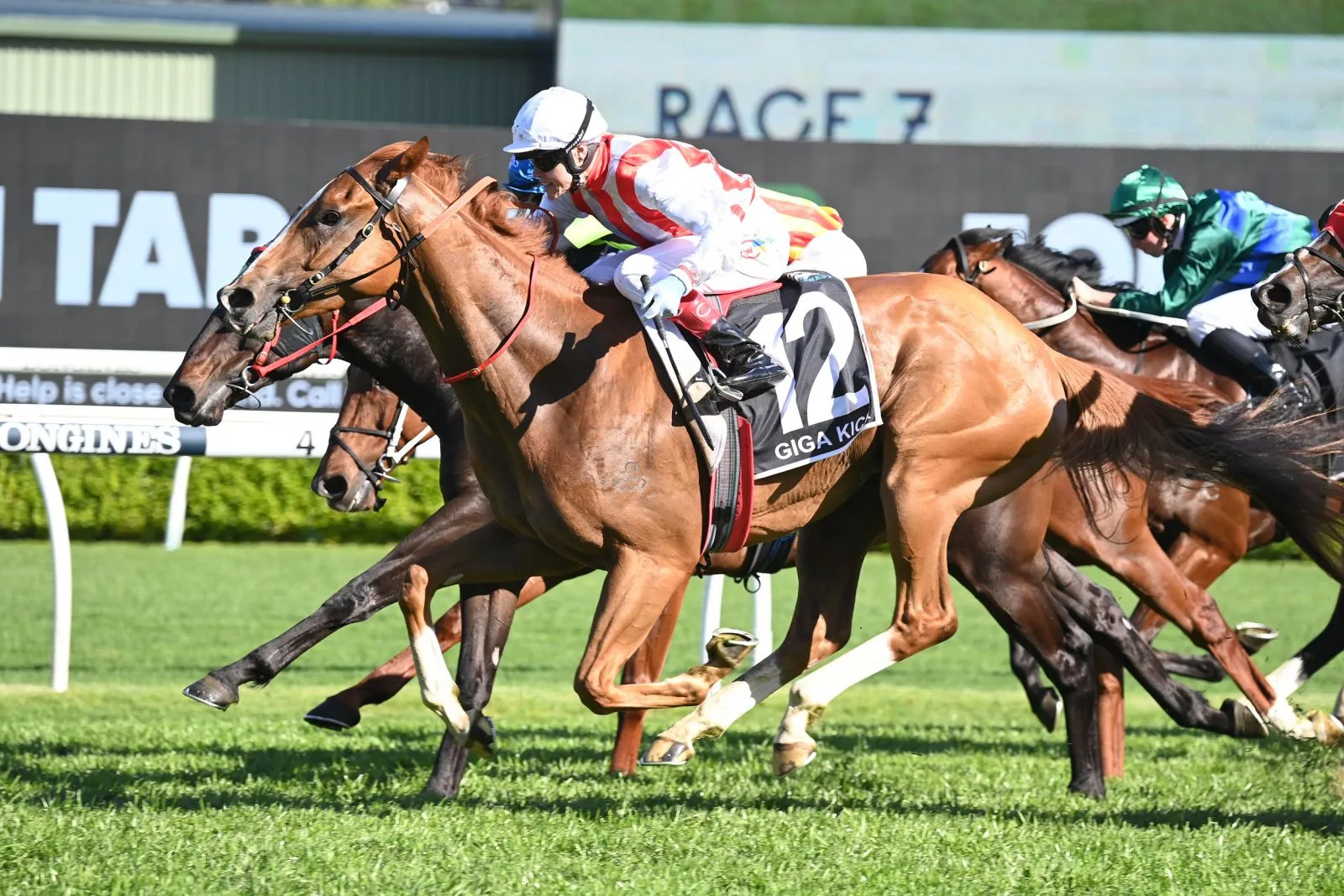Racehorse shares in Queensland can be a very exciting venture for people and thanks to proven and trusted racehorse syndicator Kurrinda Bloodstock high quality shares are now available to those who want to get involved in the exciting world of horse racing in 2024